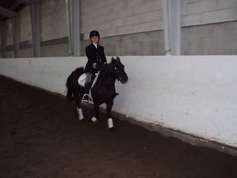 Dartmoor Nicki Ingerdal (solgt) - Her rider jeg på min dejlige pony 8) billede 5