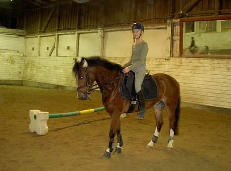 Belgisk Sportspony Filou van de delthoeve - rider en vinteraften . :D billede 3