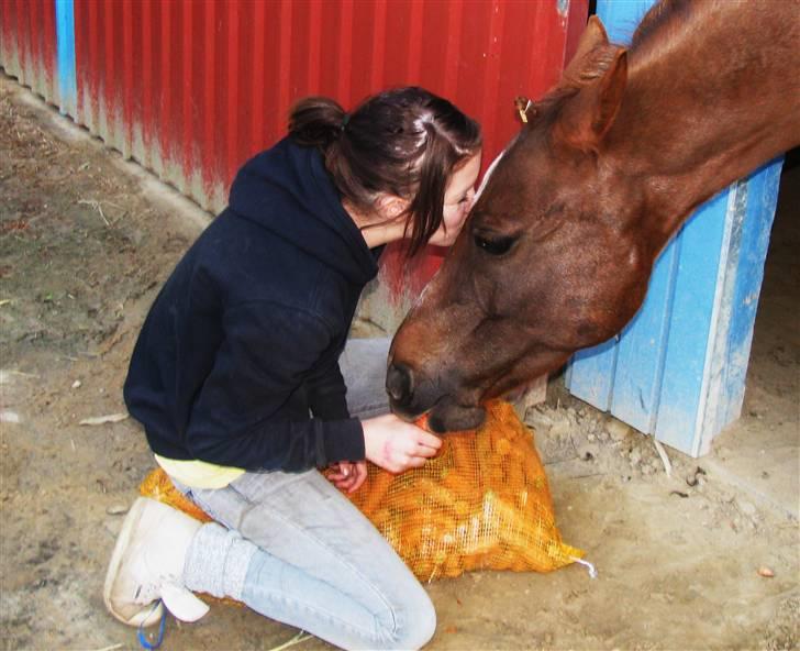 DSP Firhøjs Nobi - min engel - ´ .. du bestemme .. <3 ! jege vil bare være hos dig !!!!!!!!!!! billede 2