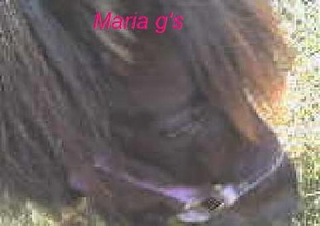 Anden særlig race KLAUS (død) - klaus græsser billede 10