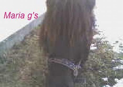 Anden særlig race KLAUS (død) - dejlige klaus billede 11