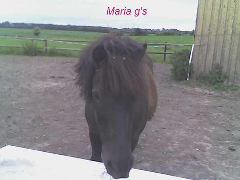 Anden særlig race KLAUS (død) - han skal drikke billede 12