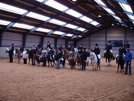 Shetlænder blackey - TEAM GERK billede 3