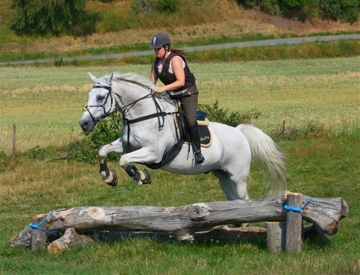 Anden særlig race Mickey  - NYT! d. 5/7 - 08 på terrænbanen i Langå med Mickey<3 tak til Rikke Astrup<3 billede 3