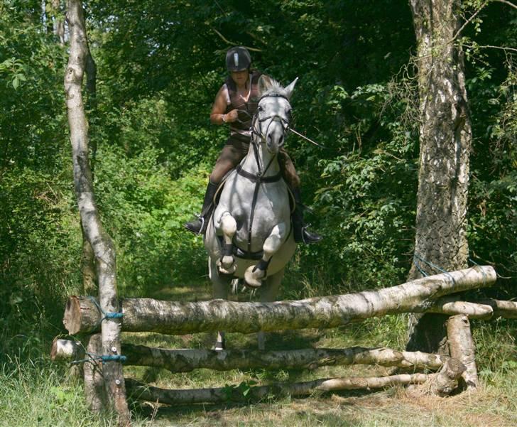Anden særlig race Mickey  - NYT! d. 5/7 - 08 på terrænbanen i Langå med Mickey<3 tak til Rikke Astrup<3 billede 4