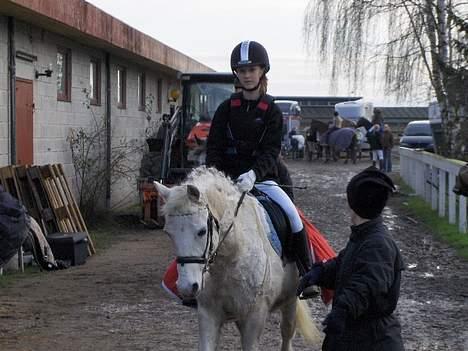 Welsh Pony (sec B) *Gl. Part* Bubbly Burglar - Lige inden vi skal på banen, sammen med Betina, Burglars ejer og min ´Træner´ :) billede 19