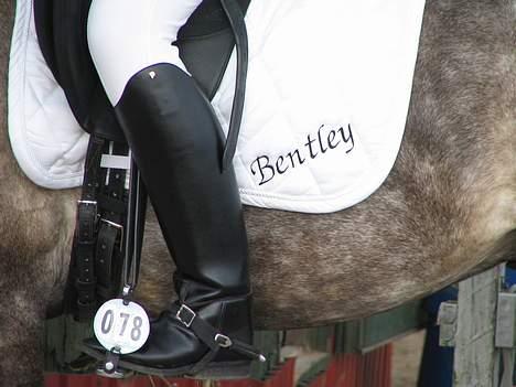 DSP Bentley (SOLGT) - bentley <333 billede 9