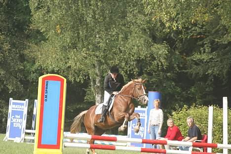 Anden særlig race Tessa(Greta) * SOLGT* :'( - Til stævne i mønerhøj.. første gang vi red fejlfri til et stævne ... billede 19