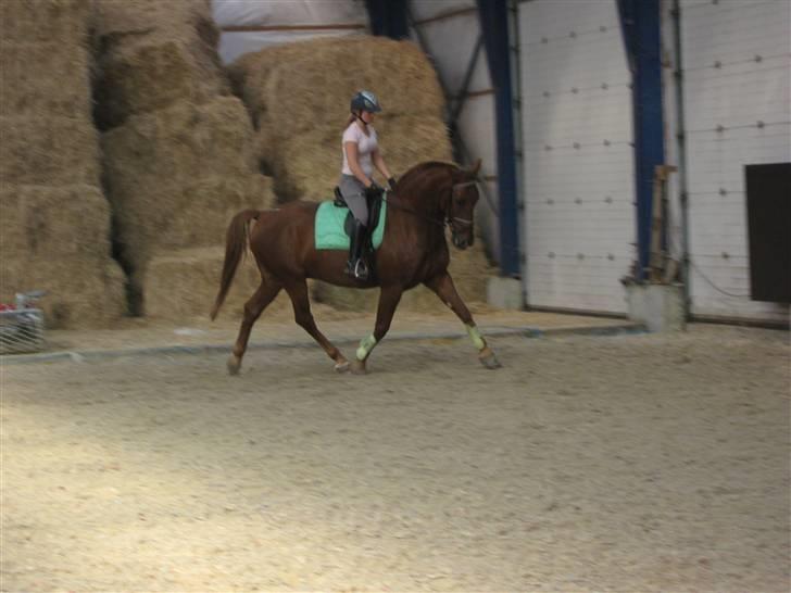 Knabstrupper Zolon - elisa&zolon ! :D billede 6