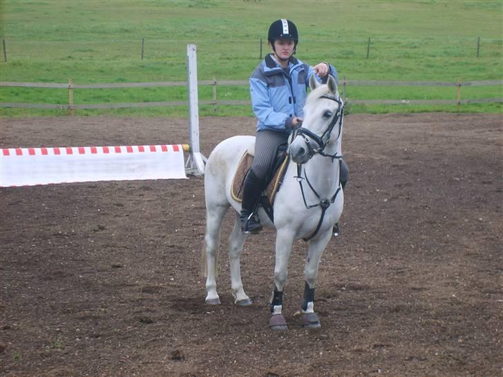 Anden særlig race SASCHA COLUMBINE - Sidste gang jeg sprang Sascha <3 Vi sprang 105cm. Her viser jeg lige hvordan jeg vil ha springet til at stå :D Hun er så smuk som springpony!!! <3 billede 20