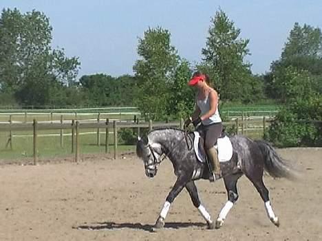 Connemara Teglstrups King Lucas - Teglstrups King Lucas " sommer 2006" billede 2