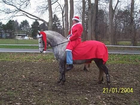 Anden særlig race Bella - Jule Bella <3 Taget den 24 dec 2006 <3  billede 2