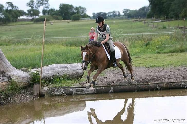 New Forest Odbjergs Elaine - SOLGT - Military ridelejr <3 billede 3