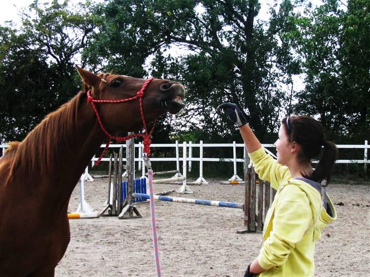 DSP Firhøjs Nobi - min engel - husk altid at smile mor (; ! ´ for jeg er i dit hjerte .. <3 ikke græd. tør din tårer væk .. jeg er her hos dig !  billede 3