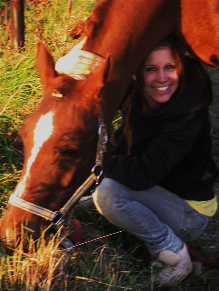 DSP Firhøjs Nobi - min engel - vi har et venskab for liv´ ikke mor? ´ jeg sover ved din side, all day long "!  billede 4