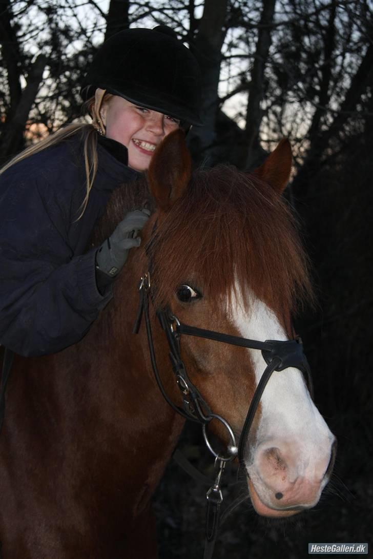 Anden særlig race Andro. - Jeg er desværre lidt stor til Andro, og Emilie Berthelsen rider ham nu. De er bare SÅ søde sammen. Foto;Mig. billede 11