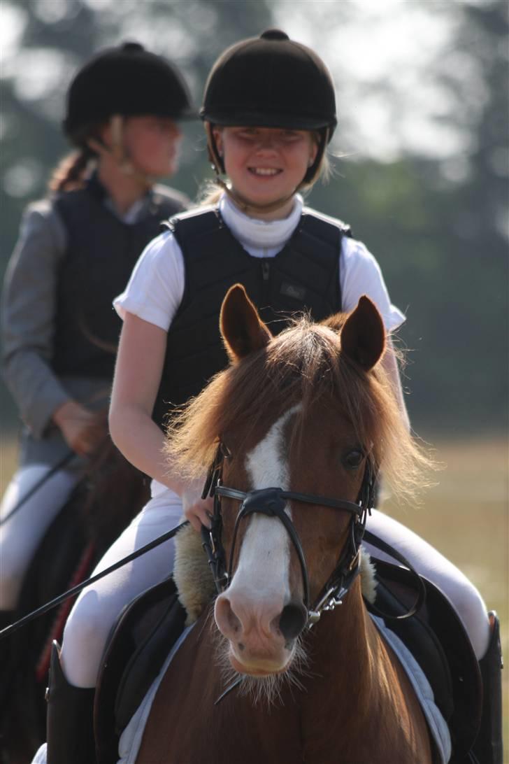 Anden særlig race Andro. - Se lige hvor glade de er :D Foto; Mig. billede 12