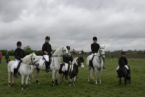 Anden særlig race Ophelia - Ponygames stævne i Revsø. billede 13