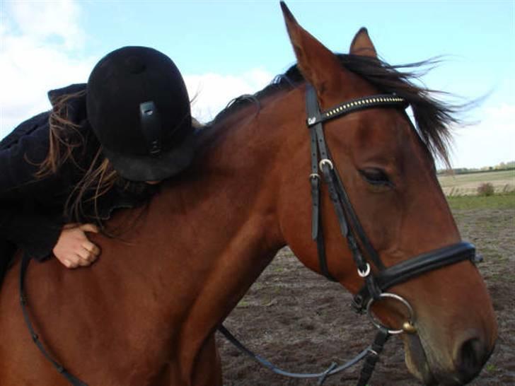 Traver Dorit billede 5