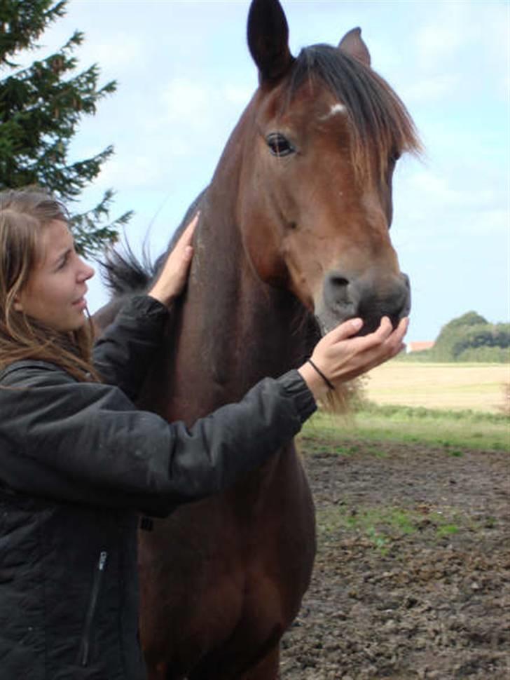 Traver Ulrik Langkjær RIP billede 1