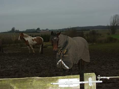 Traver Ulrik Langkjær RIP billede 3