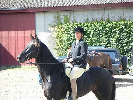 Traver Girl Of Beauty RIP - Vi havde lige gennem ført vores 1 jagt sammen. billede 3