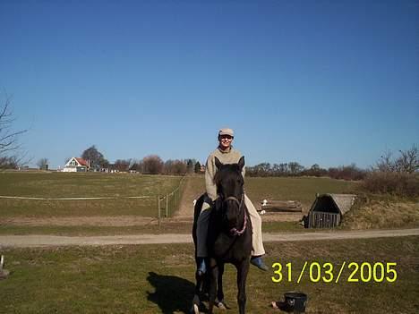 Traver Girl Of Beauty RIP - Sidste gang jeg sad på hende inden hendes aflivning :-( billede 6