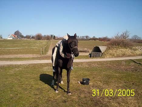 Traver Girl Of Beauty RIP - Sidste kram hun fik inden hendes aflivning :-( billede 7