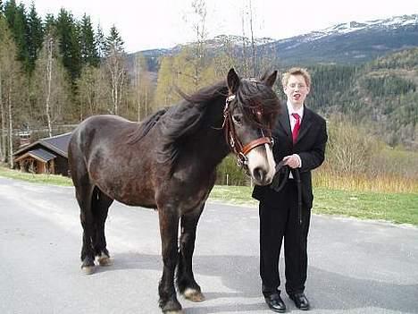 Norsk Døle Lillebror - Konfirmasjonen til sønnen min Simen, mai 05 billede 9