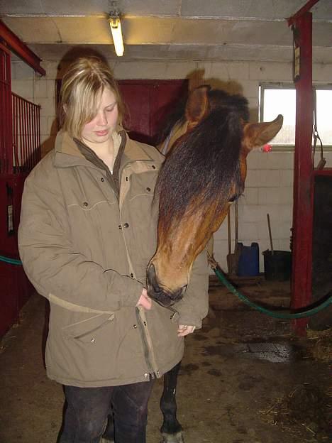 DSP Luna Nizzers billede 9