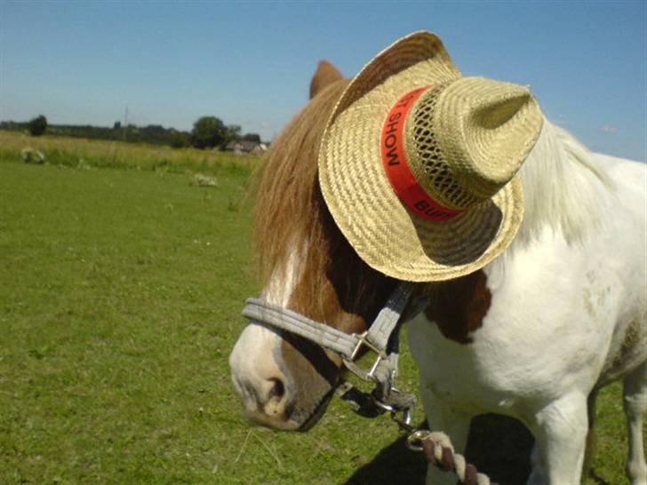 Anden særlig race Indian Sunshine - Nu gider jeg altså ikk det kamera mære, filmstjerner har oz et privatliv!(; billede 12