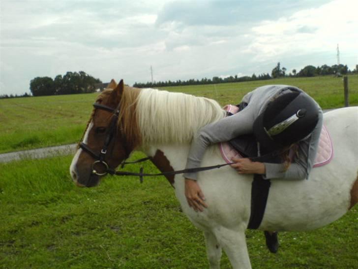 Anden særlig race Indian Sunshine - JUBII.... Så kom jeg op på Sunshine uden at nogen holdte hende(; Dygtig pony(; billede 16