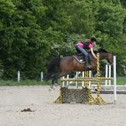 Anden særlig race Victoria (Victor) <3