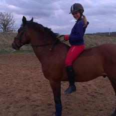 New Forest ORCHID'S PETER PAN 