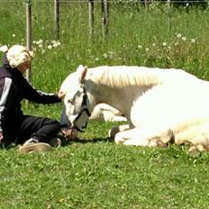 Palomino Bonette (Sanne)