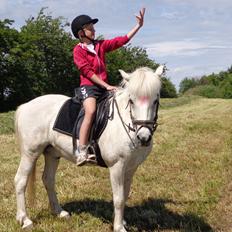 Islænder Grettir Fra Haldum Mark.. Mads (min Part)