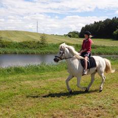 Islænder Grettir Fra Haldum Mark.. Mads (min Part)