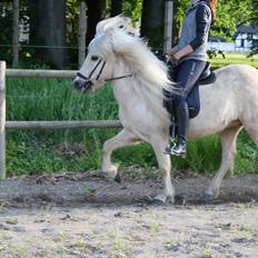 Islænder Lilja fra Skibdal