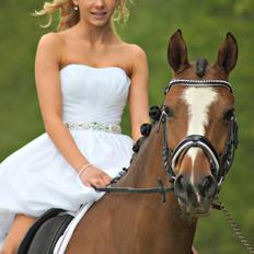 DSP Babett Bitsch - B-pony