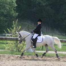 Anden særlig race Dundee<3