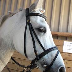 Anden særlig race Olivia min prinsesse (oli ) <3 <3 <3 3<3