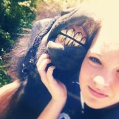 Shetlænder Sandfords Juventus