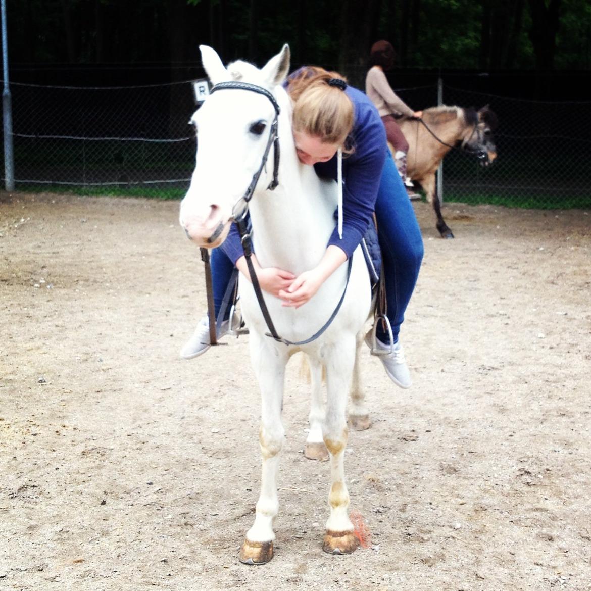 Hollandsk Sportspony Blue moon - Var ude og sige hej til hende efter næsten et års adskillelse! Troede ikke jeg kunne savne en så meget! Men hun vil altid være min lille baby!! Foto: Charlotte Hou Andersen billede 20