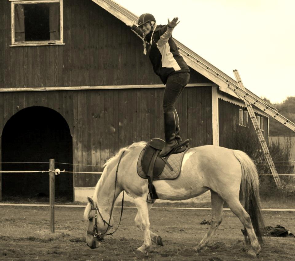 Anden særlig race Athene - Heidi står på Athene <3 billede 18