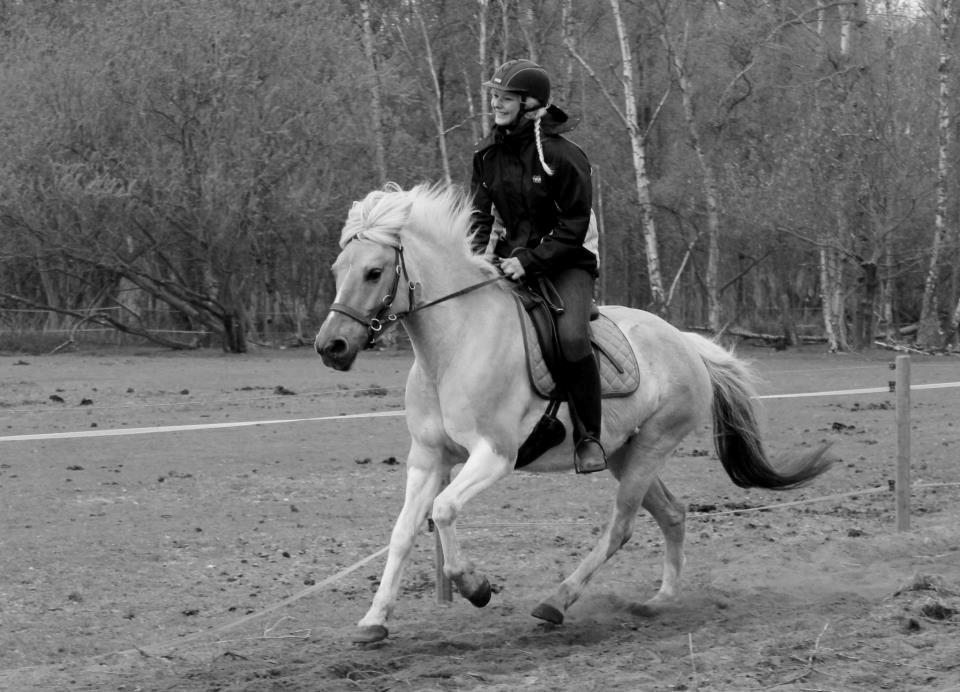 Anden særlig race Athene - Som drømmen, der aldrig ender <3 billede 1