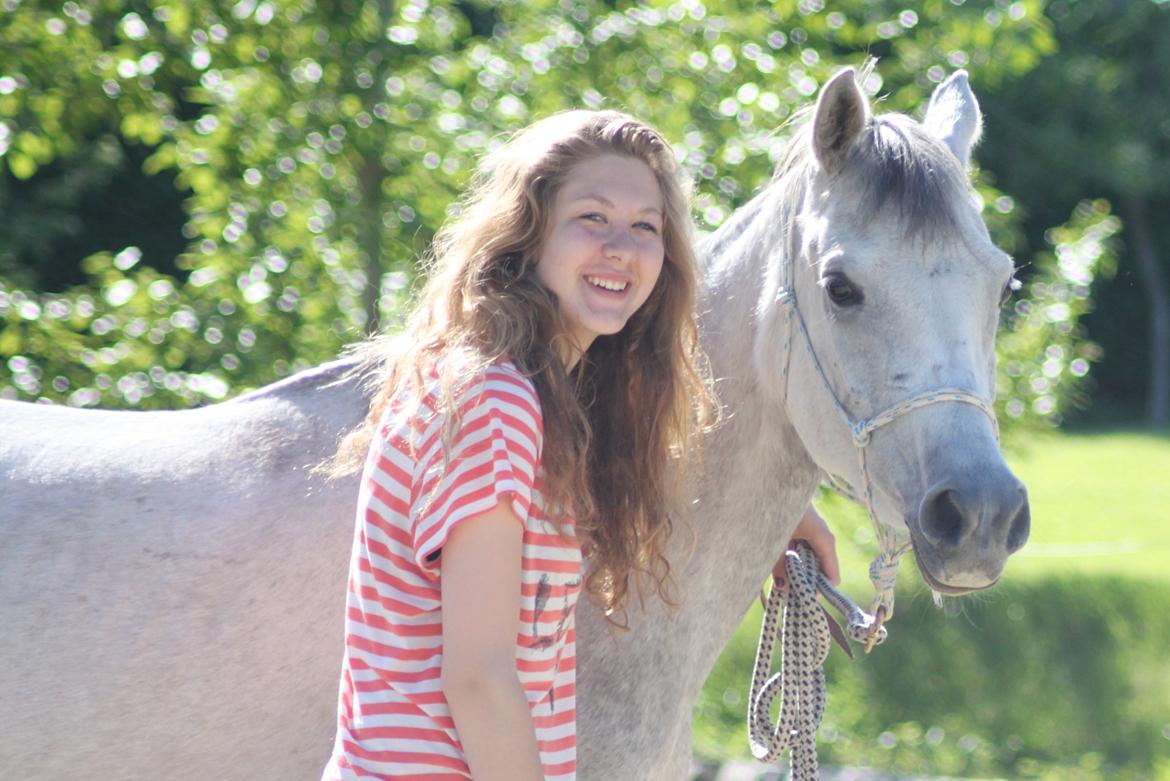 Arabisk fuldblod (OX) Diemma "AMY" R.I.P -Forever in my heart- billede 2