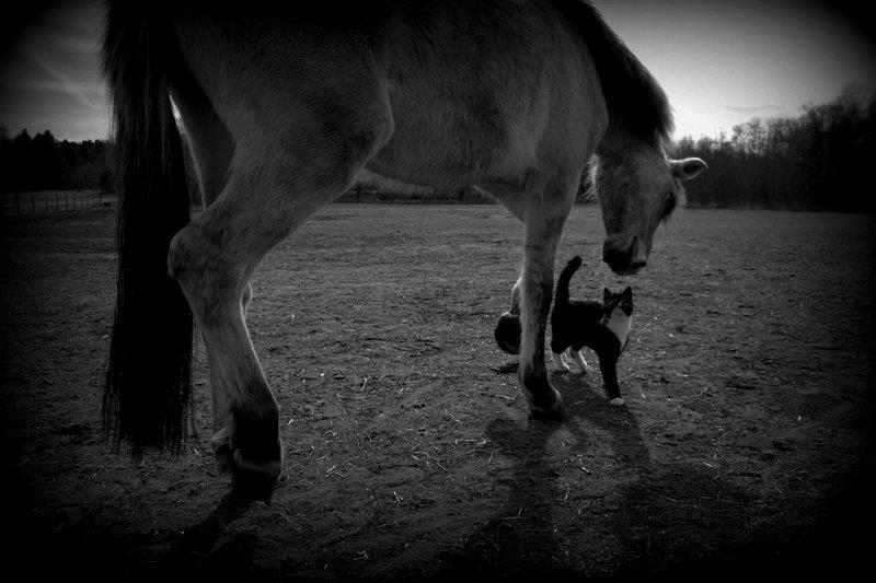 Anden særlig race Sexy Lover - ADVARSEL ! 
Adgang på eget ansvar billede 17