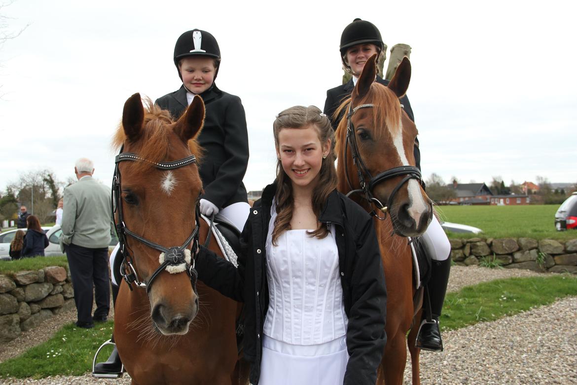 Hollandsk Sportspony Cleopatra O - Konfirmation 2013!
 billede 2