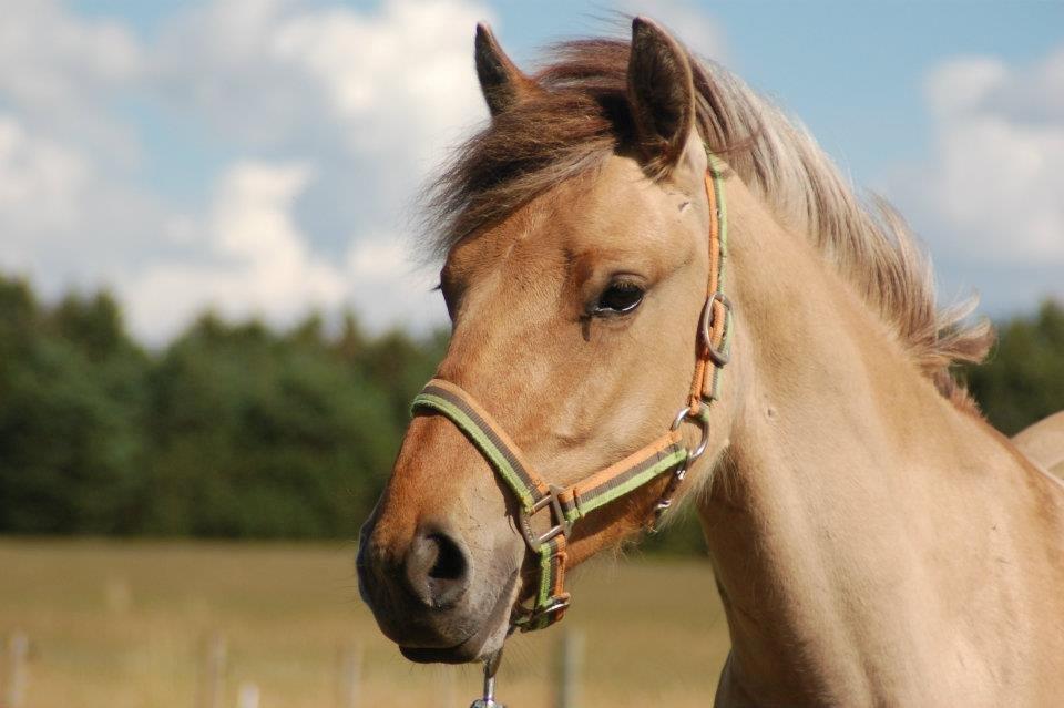 Anden særlig race Sexy Lover - Smuk og atter smuk <3 billede 20