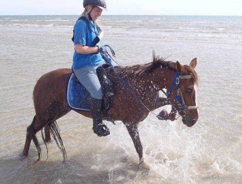 Standardbred Ona Cezz billede 19